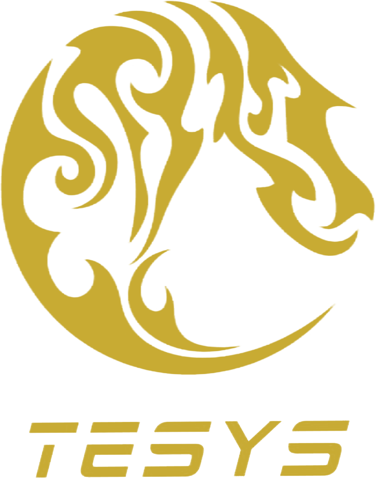 Mazizyachting Logo